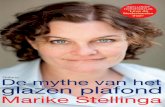 Reader 'De mythe van het glazen plafond' van Marike Stellinga