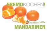 Fremdkochen Mandarinen