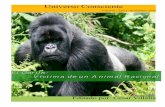 El Gorila. Victima  de un animal racional