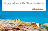 Hotelplan Ägypten & Tunesien Preisliste November 2011 bis April 2012
