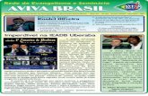 Informativo aviva brasil