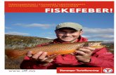 Fiskebrosjyre Stavanger Turistforening
