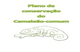 Plano de Conservação do Camaleão comum