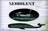 SEODigest Magazine Issue 6