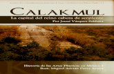 Proyecto calakmul