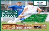 Calcio Polesine News 5 - 2013