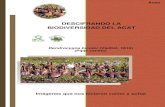 Dendrocygna bicolor, DESCIFRANDO LA BIODIVERSIDAD DEL ACAT, Artículo 34