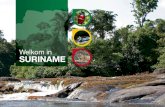 Reisgids Suriname