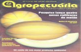 Revista Agropecuária Catarinense - Nº26 junho 1994