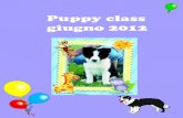Puppy Class 2012 Olimpia