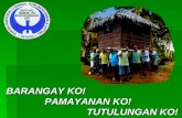 Voters Educ Barangay
