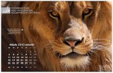 Calendar Animals