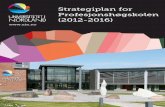 Strategiplan for Profesjonshøgskolen