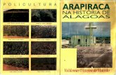 Arapiraca na História de Alagoas (Parte 2)