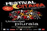 Festival occitania 2013