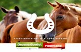 Paardentoerisme in Vlaams-Brabant