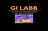 Gi labb - en bok for barnefamilier om det å ha hund