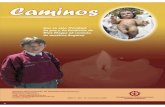 Revista Caminos Nº 19 - Colegio Ingenieria - Huancayo, Perú