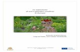 Le esperienze di orti e giardini condivisi in Europa