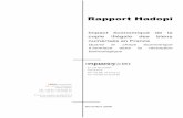 Rapport Hadopi