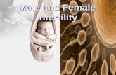 Top IVF Clinic India,IVF Infertility Clinic,IVF Fertility Center,In Vitro fertilization