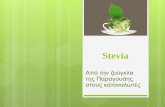 Kavoukis stevia