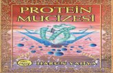Protein Mucizesi (E Kitap)