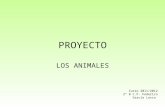 Proyecto Los Animales