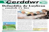 Welsh Rambler 65 - Cymraeg
