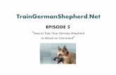 Techniques on Training Your German shepherd