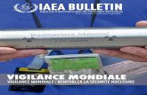 Global Vigilance: Strengthening Nuclear Security, French Edition