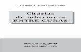 CHARLAS DE SOBREMESA ENTRE CURAS