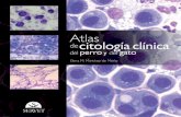 Atlas de citología clínica del perro y del gato.
