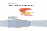 Integración metabólica 2014 con portada pdf