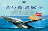 Fraser + Whales Brochure Chinese
