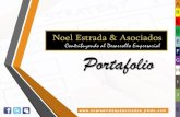 Noel Estrada & Asociados perfil empresarial 2014