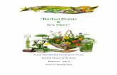 The Herbal Plants & its Uses  - The herbal trading co