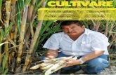 Revista cultivare- Año 2 # 4. Julio 2014