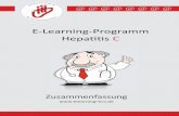 Zusammenfassunge HCV E-Learning