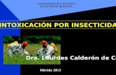 Intoxicación por insecticidas