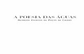 A POESIA DAS AGUAS: RETRATOS ESCRITOS DE POÇOS DE CALDAS-MG - HUGO PONTES