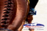 RS Mustang - Katalog 2014