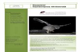 Nieuwsbrief broedresultaten steenuilen 2013  UWG Oisterwijk