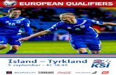 Ísland - Tyrkland undankeppni EM 2014