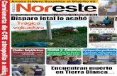 Periódico Noreste de Guanajuato #683