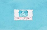 Book Trentino