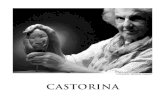Catálogo de CASTORINA 2014