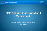 ICCAT Seabird Assessment and Management