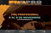 Programa FIM Profesional 2014