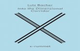 Lutz Bacher: Into the Dimensional Corridor